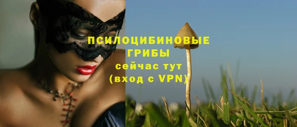 a pvp Верея